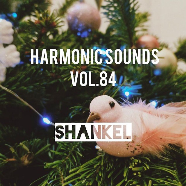 DJ.ru Микс: Shankel — Harmonic Sounds. Vol.84 (live set from optimist bar) episode artwork