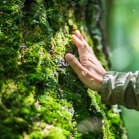 Organic Chill Out mix