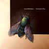 AnriSiBass — French Fly (feat. Mike Huckabee)