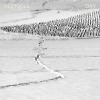 Sergio Large - OLDTOOLS#133
