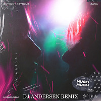 Anthony Keyrouz feat Zana Hush Hush - Don't Be Shy (DJ Andersen Club)