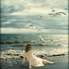 Benefir Perfomance of the Seagulls