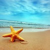 DISCOPIU SUMMER PARSDISE MIX JD VASYLYCH 2017