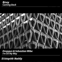 Biray - Coming Back vs Dropgun & Sebastian Wibe - I'm On My Way (Astapchik MushUp)