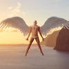 Fly With Me