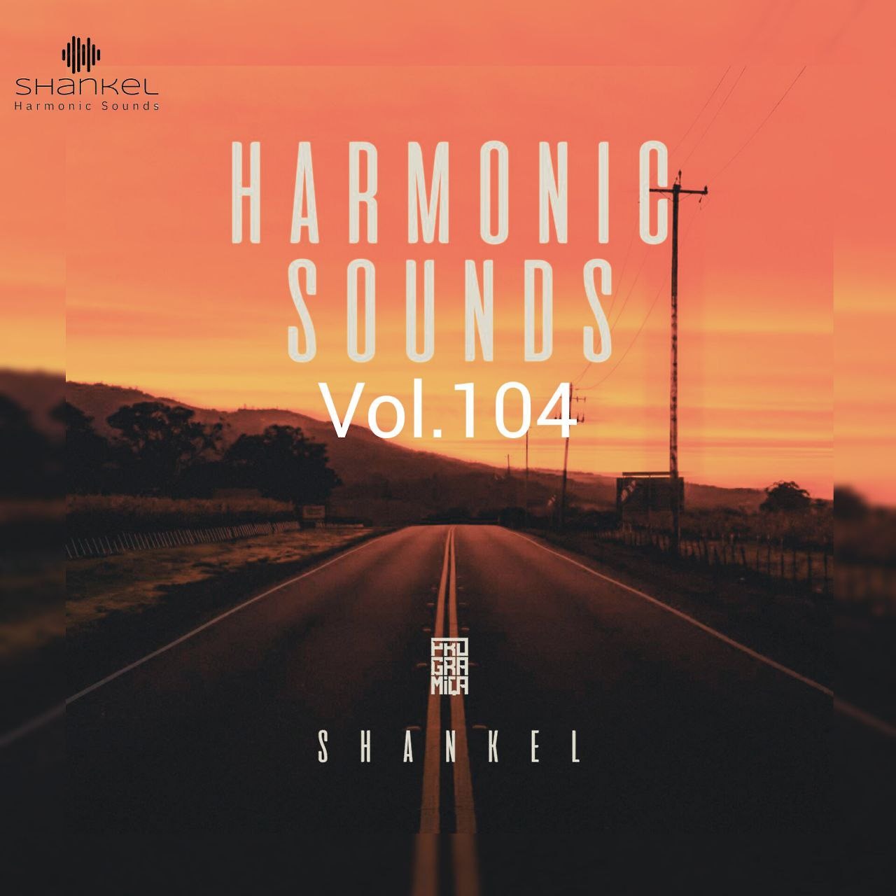 DJ.ru Микс: Shankel — Harmonic Sounds. Vol.104 episode artwork