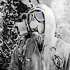 S.T.A.L.K.E.R.  