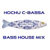 Hochu C-Bassa. Bass House Mix