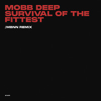 Mobb Deep - Survival Of The Fittest (MBNN 2026 Remix)