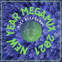 NEW YEAR MEGAMIX 2021 (Record of December 23, 2020)