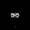 Swan Lake (Лебединое Озеро) [Extended] feat. Spivakovski