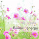 Dj Revix - Flower Energy