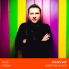 Sound Ship Radioshow (Guest Mix by Skif )  