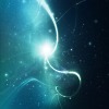 BoF Dj`s - Star GaS