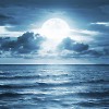 Moonlight