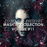 Thomas Newson, NERVO, Magnificence, R3hab - Ready For The Weekend Feat  Ayah Marar (DJ BPMline Mash Up)
