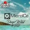 MicroICe Music-DeepWild #2 (Planet Radio)