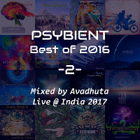 Psybient: Best of 2016, Vol.2 (Live @ India 2017)
