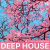 DJ SILENT - DEEP HOUSE LIVE MIX MAY 2019