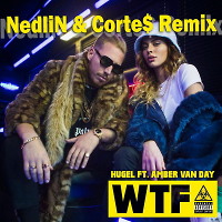 Hugel - WTF (feat. Amber Van Day) (Nedlin & Corte$ Remix)