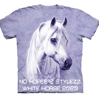 No Hopes, Stylezz - White Horse 2020 (Extended Mix)