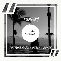Phuture Mafia, Hubba & Morse - Pumping (Original Mix)