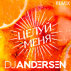 Люся Чеботина - Целуй меня (DJ Andersen Remix)