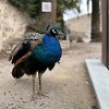 Slo-Mo Dance Mix v.3