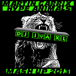 Deorro & ZooFunktion vs.Martin Garrix - Hype Animals (DJ IvA XL MASH UP 2013)