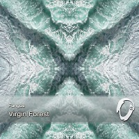 Fungus - Virgin Forest