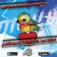 Mizantrope, ЭЛБИ - ПТИЦЫ (Struzhkin & Vitto Remix)(Radio Edit)