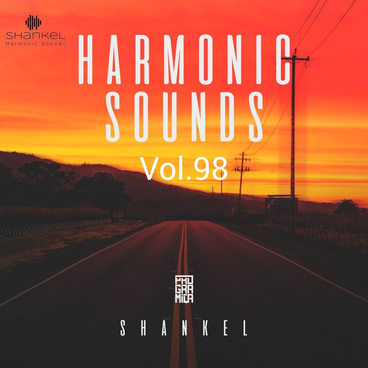 DJ.ru Микс: Shankel — Harmonic Sounds. Vol.98 episode artwork