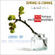 Spring is coming - mixed by Chi Chi Rodriguez (10/02/11)