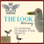 Metronomy Vs Sunny – The Look Legend (Dj Sergio Fresh, Dj Andersen MashUp)