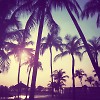Tony Angelo & Luca Marten - We Love Summer
