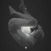 MIXTAPE #14