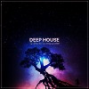 DEEP HOUSE LIVE MIX AUGUST 2019