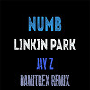 Jay-Z & Linkin Park - Numb Encore (Damitrex Vip Remix) Radio Edit