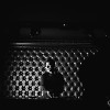 Live @paratovclub (г. Архангельск)