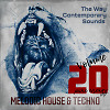 Melodic House & Techno 20