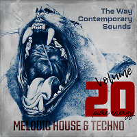 Melodic House & Techno 20