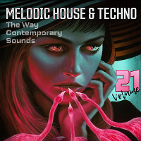 Melodic House & Techno 21