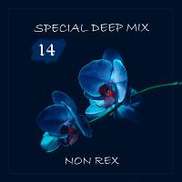 Special Deep Mix - 014