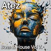 Bass & House Vol 7.