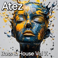 Bass & House Vol 7.