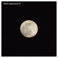 Moon dependent 01