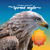 Spread Eagle (Radio Edit.)
