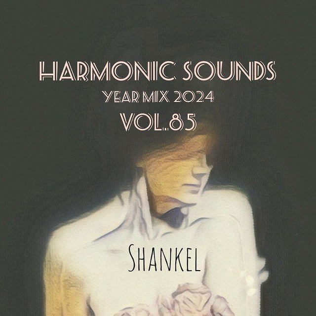 DJ.ru Микс: Shankel — Harmonic Sounds Yearmix. Vol.85 episode artwork