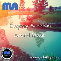 Evgeniy Sorokin - Sound Maze 054