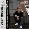 Deep House Selection #264 (Record Deep) Guest Mix liquidfive